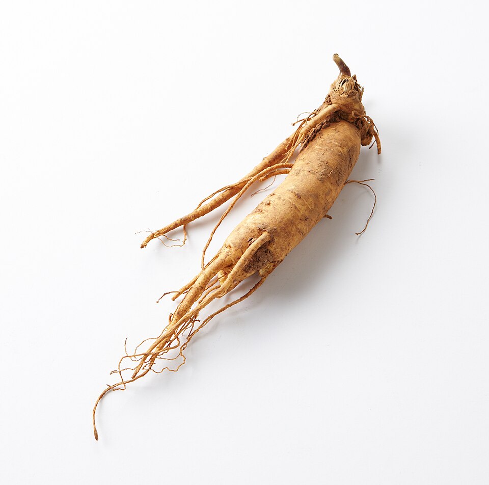 الجينسنغ
